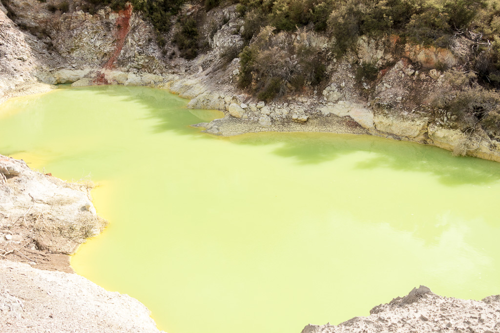 A large ruggedly-edged crated adjoining the bush line with an amazing natural water color at its base. The colour is the result of excess water from the Champagne Pool mixing with sulphur and ferrous salts changes in colour through green to yellow are associated with the amount of reflected light and cloud cover.