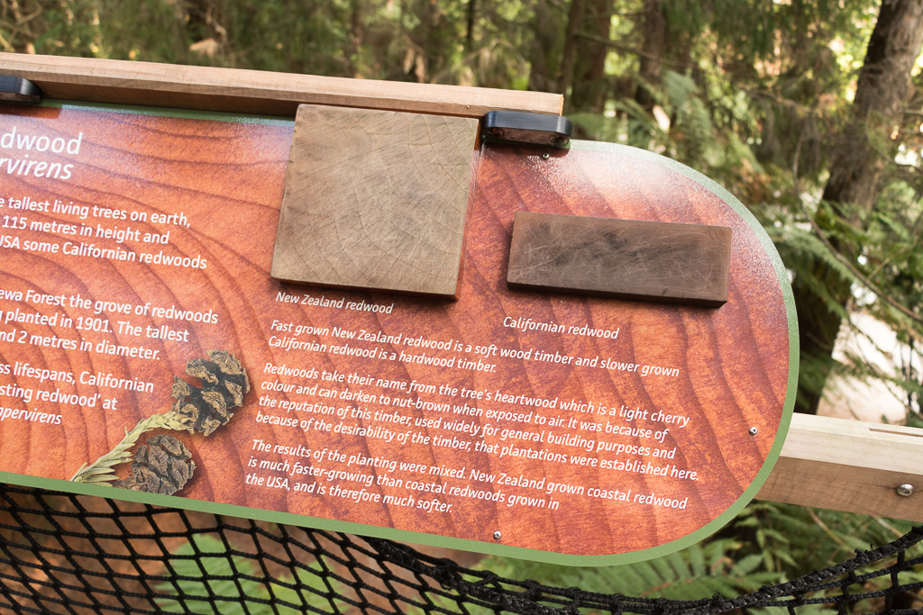 Signage showing the difference between the wood of Californian redwood and New Zealand redwood.