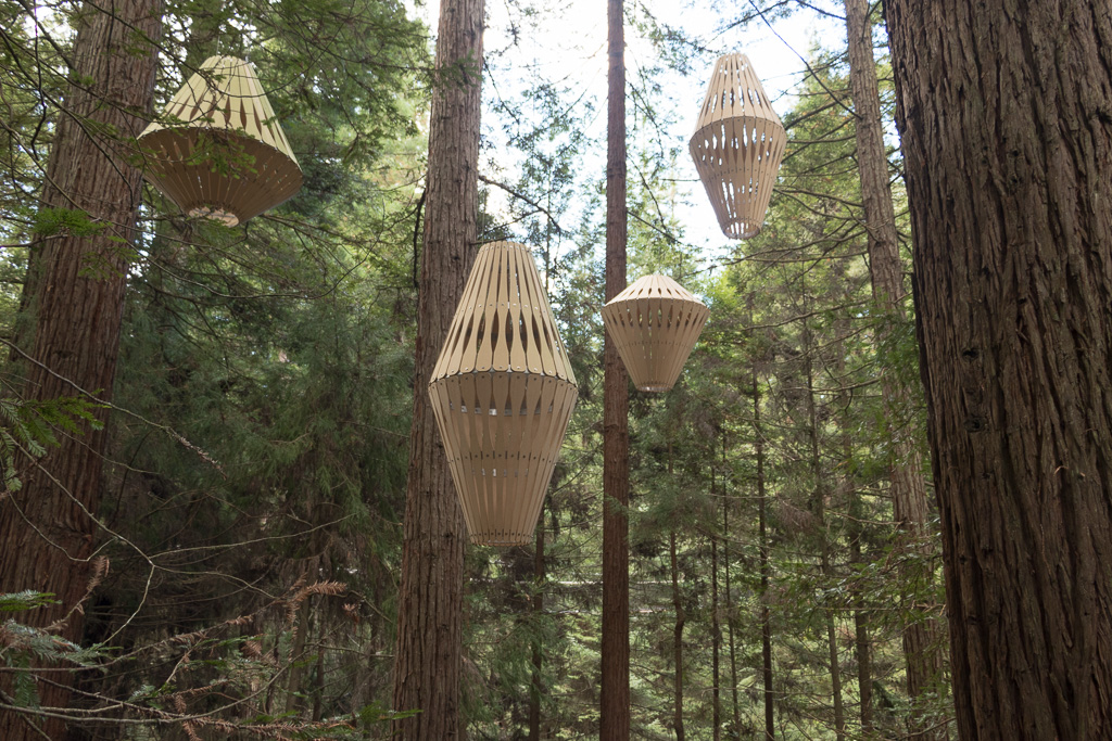 Examples of the Lanterns hung among the Redwood trees. At night the walk is lit from below and above by the lanterns.