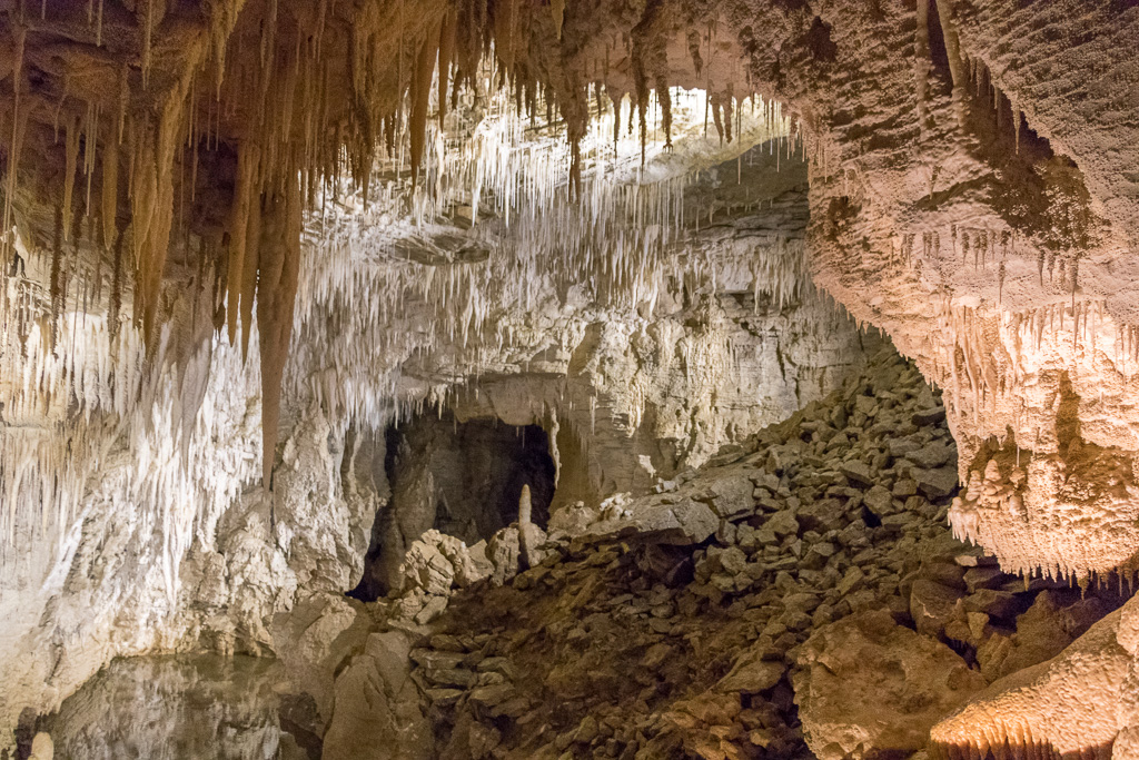 One of the many caverns inside of Ruakuri Cave